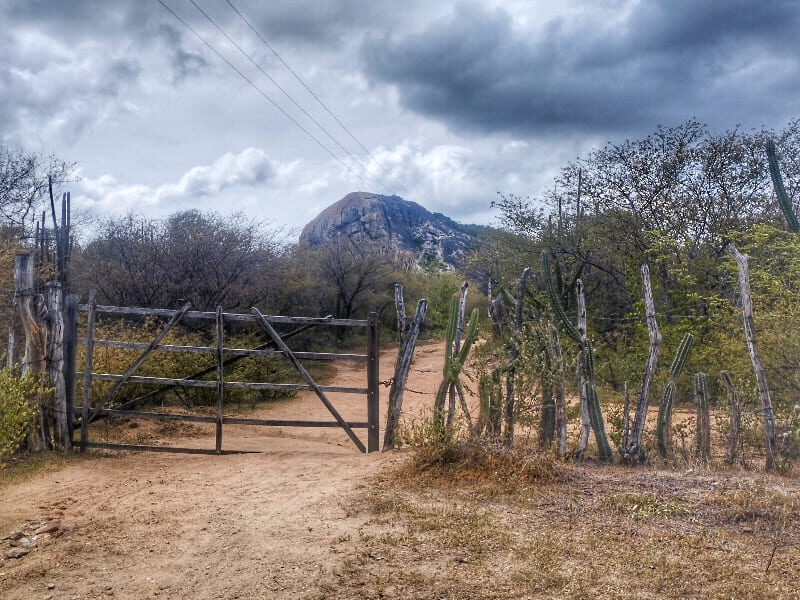 A Caatinga e a Pecuária na Fazenda Boqueirão